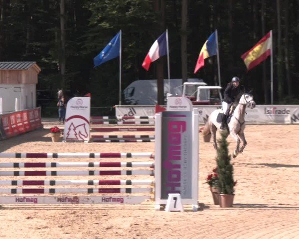Reitturnier Ranshofen - Braunau am Inn 2024