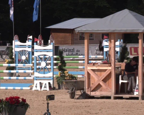 Reitturnier Ranshofen - Braunau am Inn 2024