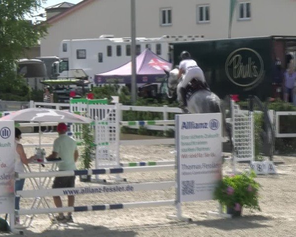 Reitturnier Sauldorf-Boll 2024