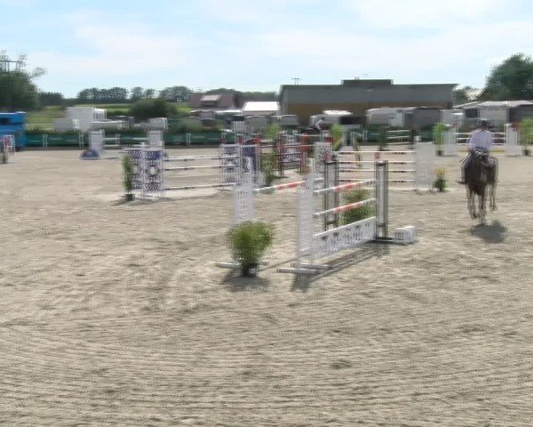 Reitturnier Sauldorf-Boll 2024