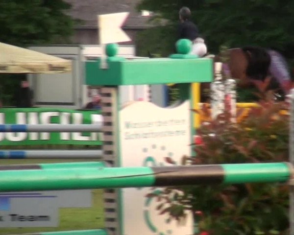 Pfingst-Dressur- und Springturnier 2013 des ZRFV Borken