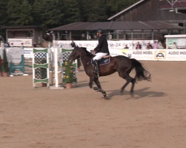 Reitturnier Ranshofen - Braunau am Inn 2024