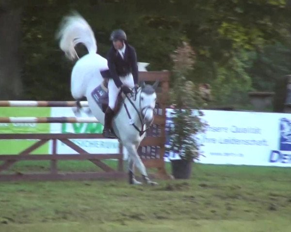 Pfingst-Dressur- und Springturnier 2013 des ZRFV Borken