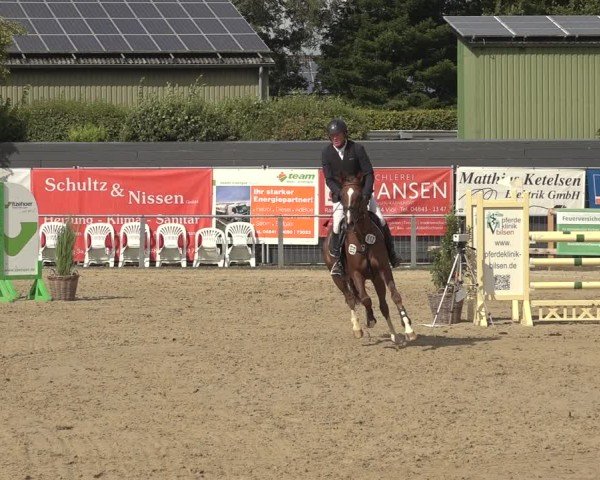 Reitturnier Behrendorf 2024