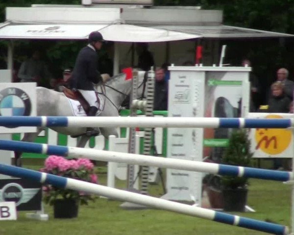Pfingst-Dressur- und Springturnier 2013 des ZRFV Borken