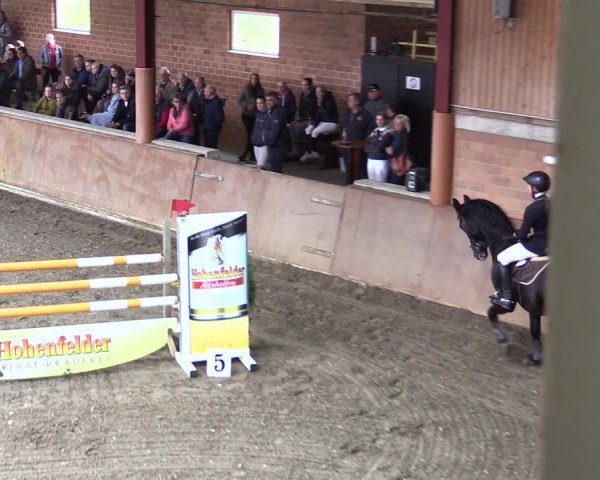Reitturnier Herzebrock-Rheda 2021