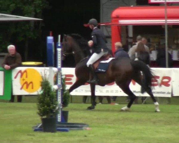 Pfingst-Dressur- und Springturnier 2013 des ZRFV Borken