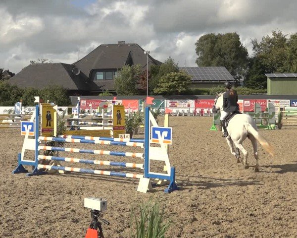 Reitturnier Behrendorf 2024