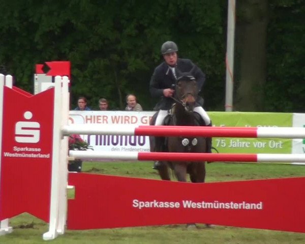 Pfingst-Dressur- und Springturnier 2013 des ZRFV Borken