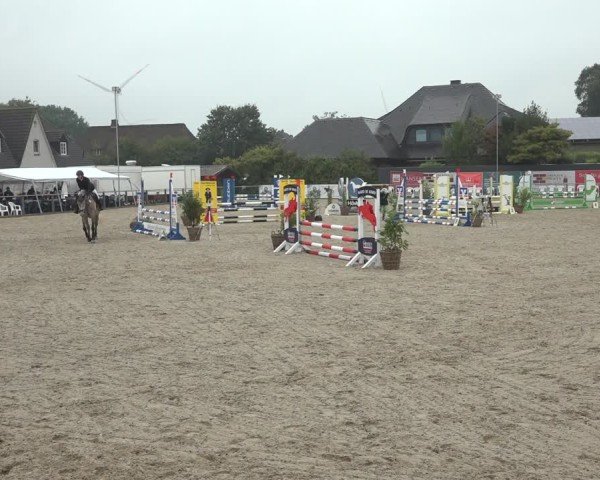Reitturnier Behrendorf 2024