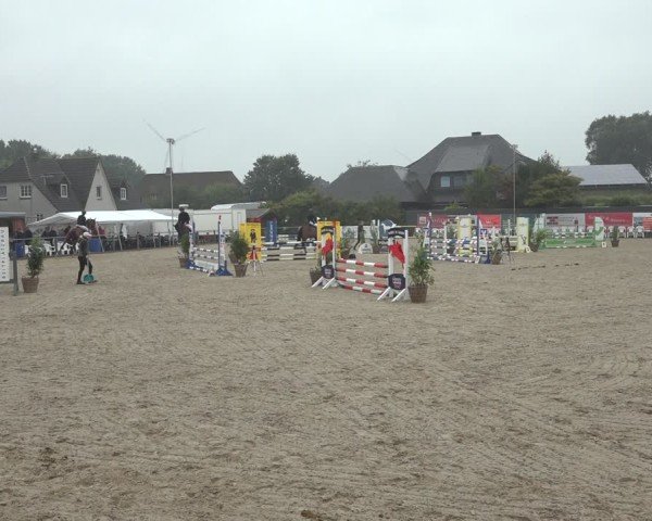 Reitturnier Behrendorf 2024