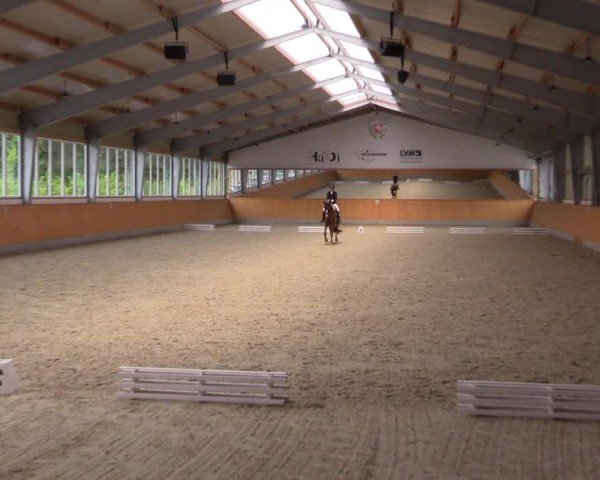 Reitturnier Münster-Amelsbüren 2024