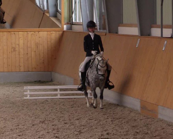 Reitturnier Münster-Amelsbüren 2024