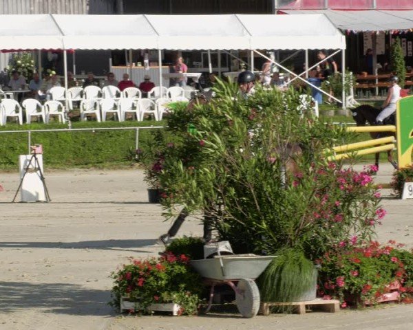 Reitturnier Oberderdingen 2024