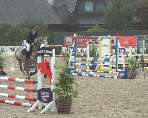 Reitturnier Behrendorf 2024