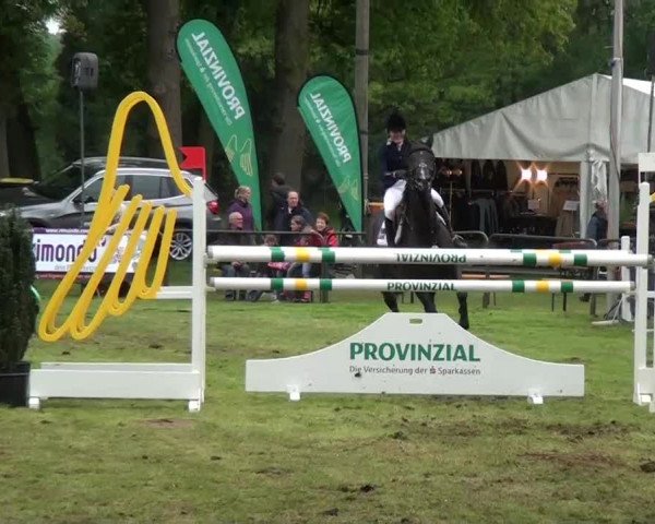 Pfingst-Dressur- und Springturnier 2013 des ZRFV Borken