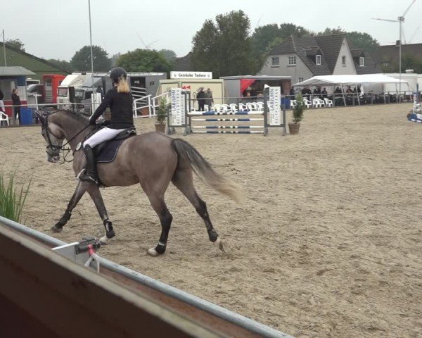 Reitturnier Behrendorf 2024