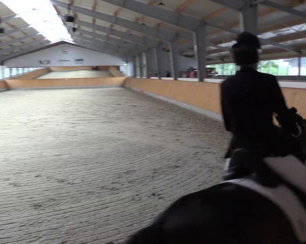 Reitturnier Münster-Amelsbüren 2024