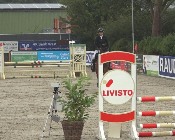 Reitturnier Behrendorf 2024