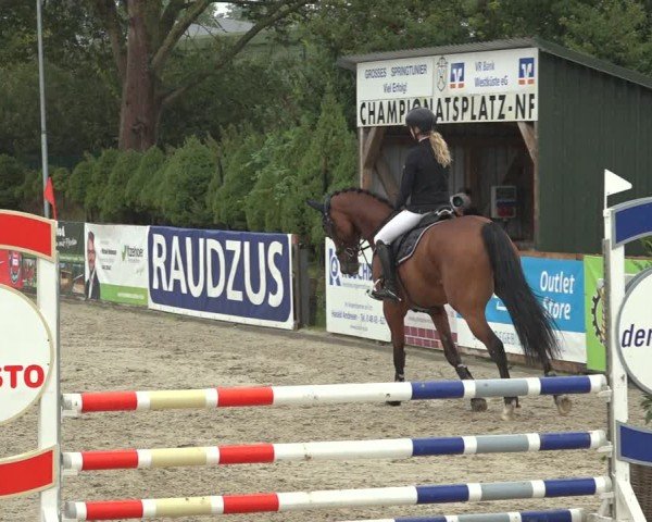 Reitturnier Behrendorf 2024