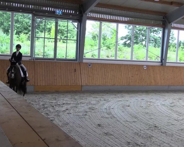 Reitturnier Münster-Amelsbüren 2024