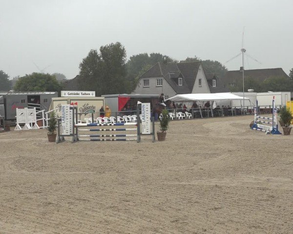 Reitturnier Behrendorf 2024