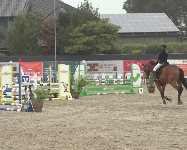 Reitturnier Behrendorf 2024