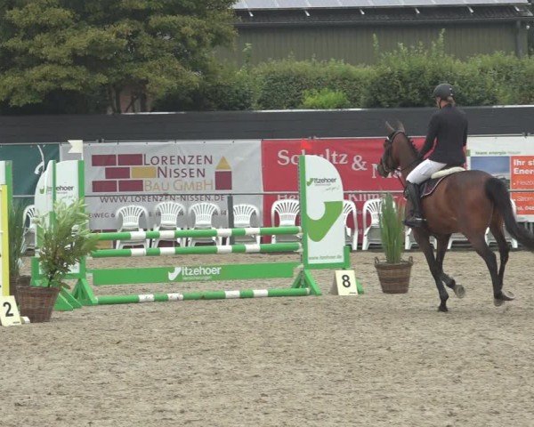 Reitturnier Behrendorf 2024