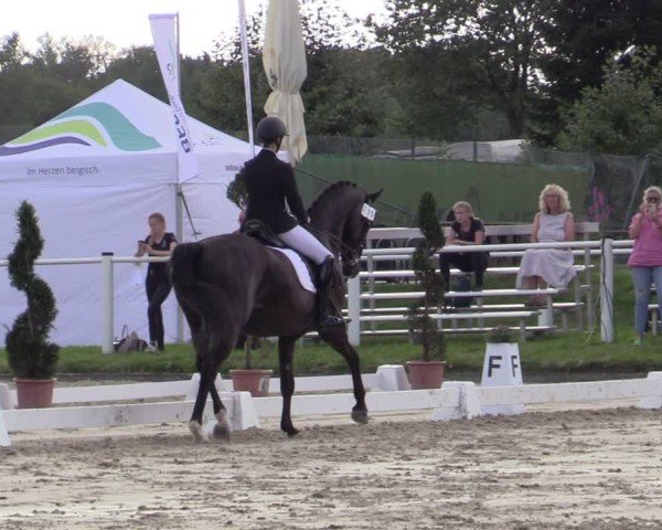 Reitturnier Bergisch Gladbach - Hebborner Hof 2024