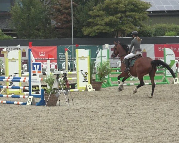 Reitturnier Behrendorf 2024