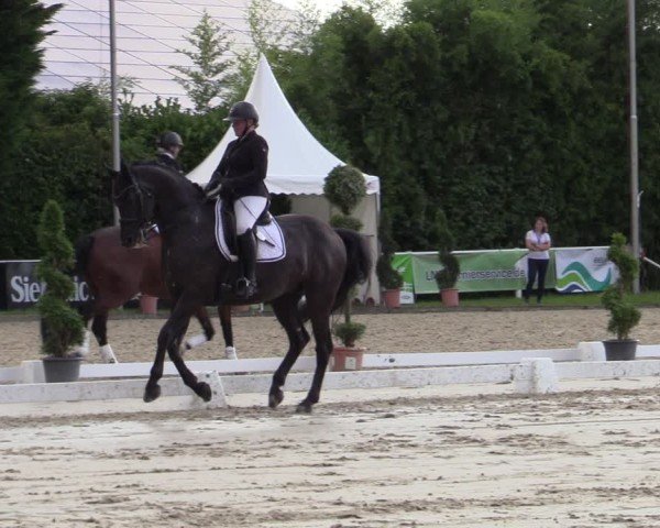 Reitturnier Bergisch Gladbach - Hebborner Hof 2024