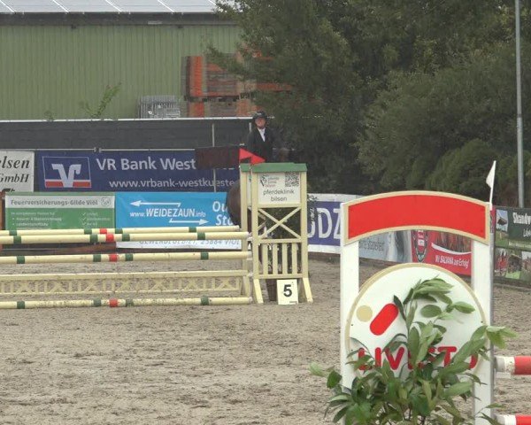 Reitturnier Behrendorf 2024
