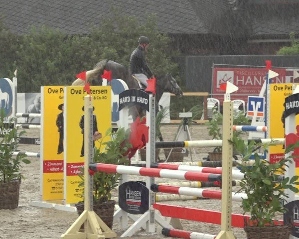 Reitturnier Behrendorf 2024