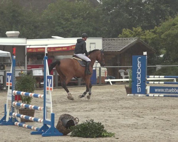 Reitturnier Behrendorf 2024