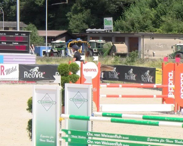 Reitturnier Schüpfheim 2024