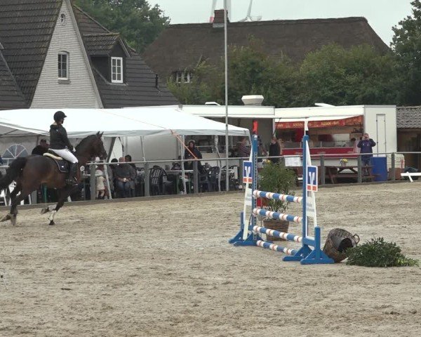 Reitturnier Behrendorf 2024