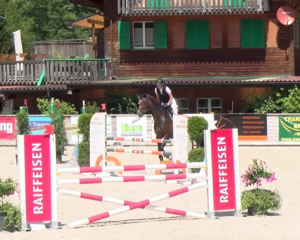 Reitturnier Schüpfheim 2024