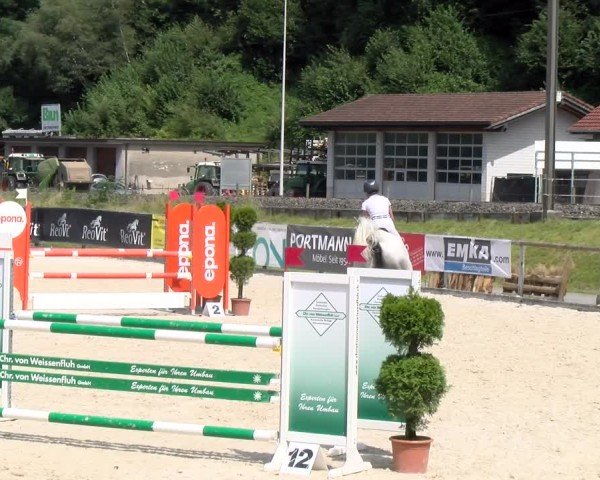 Reitturnier Schüpfheim 2024