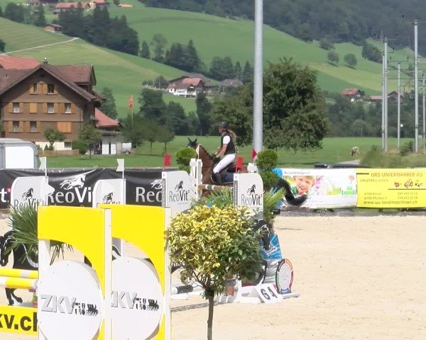 Reitturnier Schüpfheim 2024
