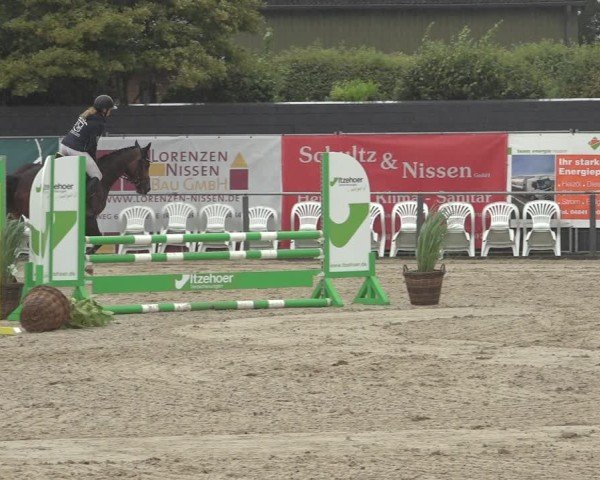 Reitturnier Behrendorf 2024