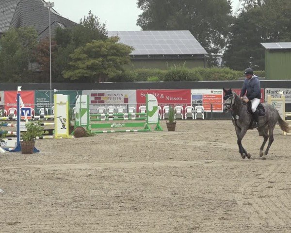 Reitturnier Behrendorf 2024