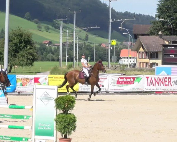 Reitturnier Schüpfheim 2024