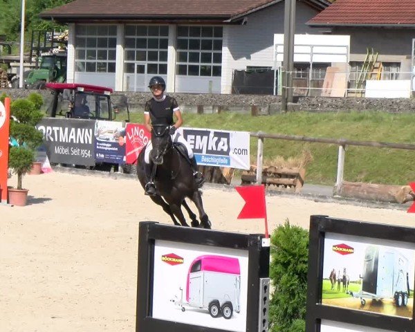 Reitturnier Schüpfheim 2024