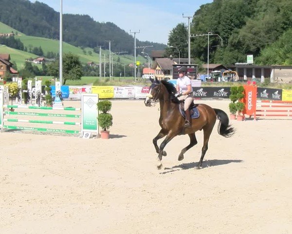 Reitturnier Schüpfheim 2024