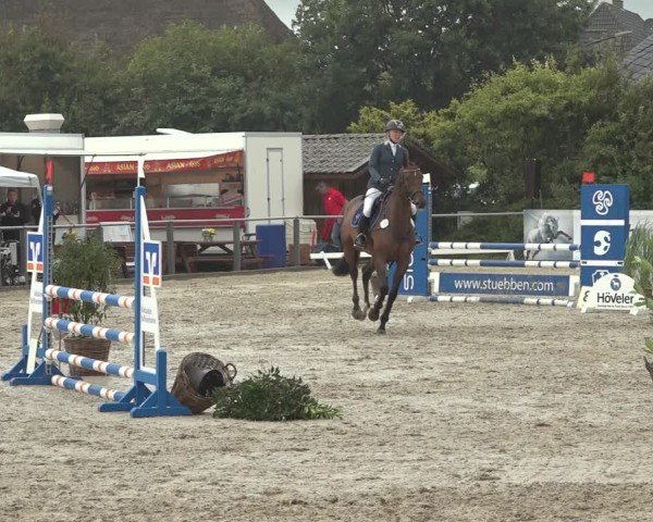 Reitturnier Behrendorf 2024