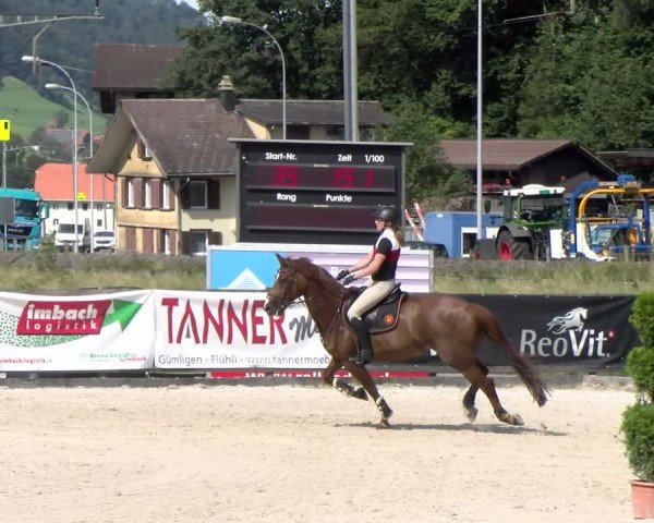 Reitturnier Schüpfheim 2024