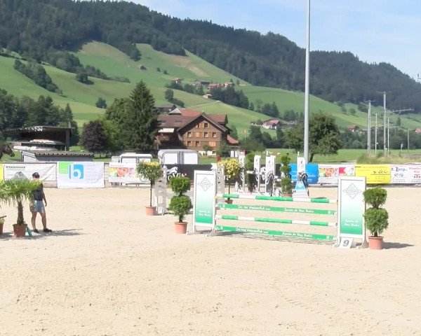 Reitturnier Schüpfheim 2024