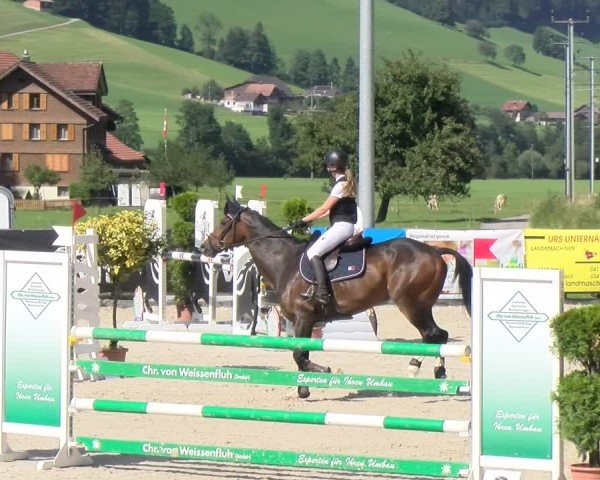 Reitturnier Schüpfheim 2024