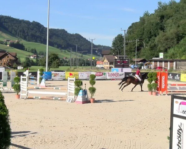 Reitturnier Schüpfheim 2024