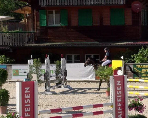 Reitturnier Schüpfheim 2024